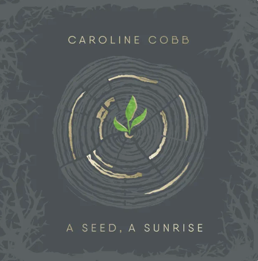 A Seed a Sunrise advent to Christmas Songs album